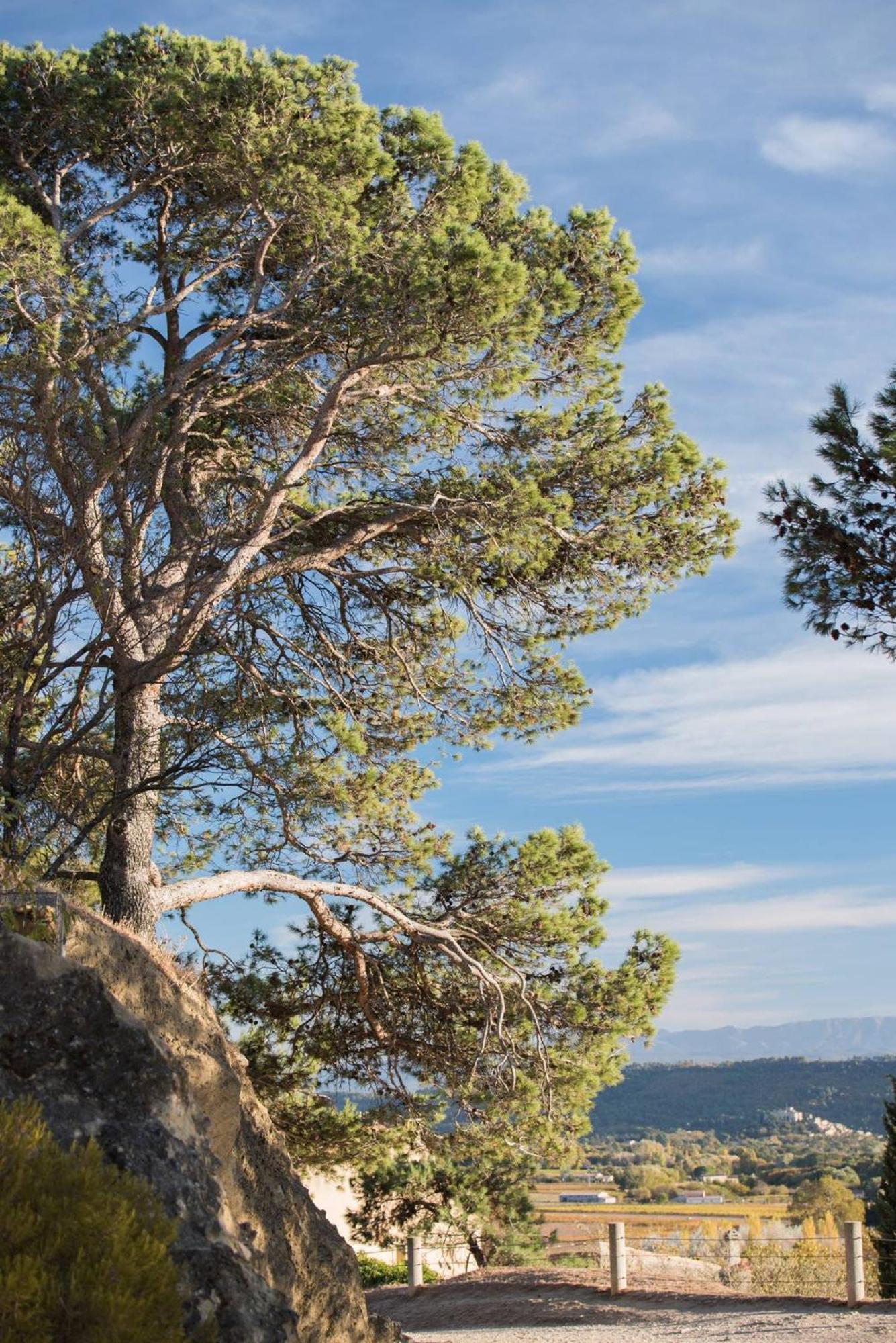 Charmante Maison De Village Au Coeur Du Luberon Cucuron Ngoại thất bức ảnh